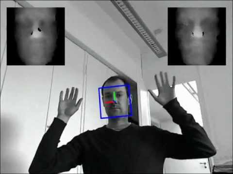 Head pose estimation on depth data based on<br />  Particle Swarm Optimization (CVPRW 2012)
