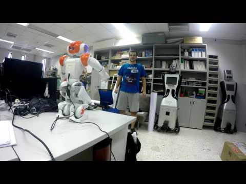 Teleoperation of NAO based on the<br />  FORTH Human Body Tracker (PETRA 2017)