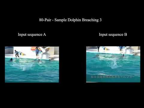 Temporal Action Co-Segmentation in 3D<br /> Motion Capture Data and Videos (CVPR 2017)