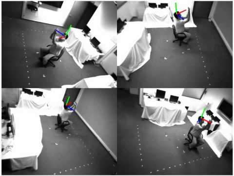 Head Pose Estimation from Multiple<br />  Distant Views (BMVC 2009)