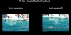 Temporal Action Co-Segmentation in 3D<br /> Motion Capture Data and Videos (CVPR 2017)