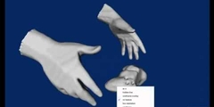 From Multiple Views to Textured 3D Meshes:<br /> A GPU-Powered Approach (ECCVW-CVGPU 2010)