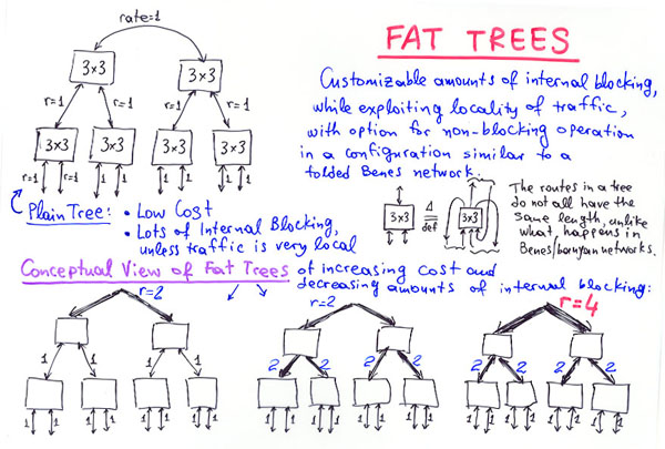 Fat Trees: Conceptual View
